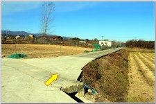 해파랑길 37코스 후반~38코스 일부(上) (정감이마을-오독떼기전수관-장현저수지-모산봉-강릉 대도호부) : 2025. 11. 17. - 부산.경남지회... 