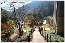 회동수원지 둘레길 : 2023. 12. 4 - 부산.경남지회 - SC제일은행 동우회 SC제일은행 동우회