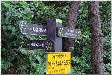 승학산 숲길 : 2025. 7. 21. - 부산.경남지회 - SC제일은행 동우회 SC제일은행 동우회
