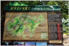 국립 부산 승학산 치유의 숲 - 승학산 : 2025. 6. 27. - 부산.경남지회 - SC제일은행 동우회 SC제일은행 동우회