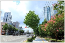 동래고읍성 : 2025. 9. 3. - 부산.경남지회 - SC제일은행 동우회 SC제일은행 동우회