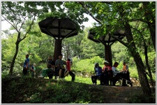 백양산(바람고개-공룡발자국-정상-만남의 숲) : 2025. 08. 11. - 부산.경남지회 - SC제일은행 동우회 SC제일은행 동우회