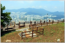 황령산레포츠공원-행경산-황령산-황령산생태숲 : 2025. 8. 2. - 부산.경남지회 - SC제일은행 동우회 SC제일은행 동우회