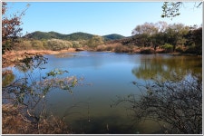 Re: 창녕 우포늪 둘레길 2) - 부산.경남지회 - SC제일은행 동우회 SC제일은행 동우회