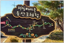 해파랑길 37코스 후반~38코스 일부(上) (정감이마을-오독떼기전수관-장현저수지-모산봉-강릉 대도호부) : 2025. 11. 17. - 부산.경남지회... 