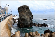 해파랑길 34코스 (묵호역 입구-대진항-망상해변-옥계여성수련원) : 2025. 9. 22. - 부산.경남지회 - SC제일은행 동우회 SC제일은행 동우회