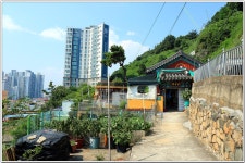 황령산레포츠공원-행경산-황령산-황령산생태숲 : 2025. 8. 2. - 부산.경남지회 - SC제일은행 동우회 SC제일은행 동우회