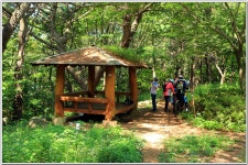 황령산레포츠공원-행경산-황령산-황령산생태숲 : 2025. 8. 2. - 부산.경남지회 - SC제일은행 동우회 SC제일은행 동우회