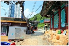 황령산레포츠공원-행경산-황령산-황령산생태숲 : 2025. 8. 2. - 부산.경남지회 - SC제일은행 동우회 SC제일은행 동우회