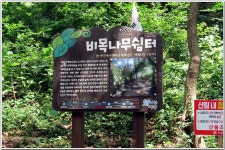승학산 숲길 : 2025. 7. 21. - 부산.경남지회 - SC제일은행 동우회 SC제일은행 동우회