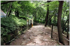 승학산 숲길 : 2025. 7. 21. - 부산.경남지회 - SC제일은행 동우회 SC제일은행 동우회