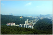 황령산레포츠공원-행경산-황령산-황령산생태숲 : 2025. 8. 2. - 부산.경남지회 - SC제일은행 동우회 SC제일은행 동우회