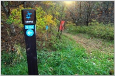 해파랑길 35코스 (옥계역-옥계여성수련원-금진항-심곡항-정동진역) : 2025. 11. 15. - 부산.경남지회 - SC제일은행 동우회 SC제일은행 동우회