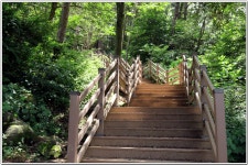 승학산 숲길 : 2025. 7. 21. - 부산.경남지회 - SC제일은행 동우회 SC제일은행 동우회