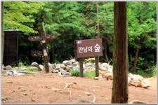 백양산(바람고개-공룡발자국-정상-만남의 숲) : 2025. 08. 11. - 부산.경남지회 - SC제일은행 동우회 SC제일은행 동우회