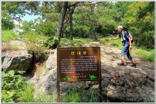 백양산(바람고개-공룡발자국-정상-만남의 숲) : 2025. 08. 11. - 부산.경남지회 - SC제일은행 동우회 SC제일은행 동우회