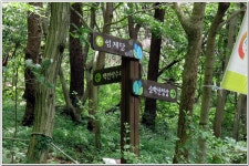 승학산 숲길 : 2025. 7. 21. - 부산.경남지회 - SC제일은행 동우회 SC제일은행 동우회