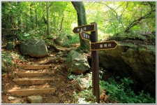 황령산레포츠공원-행경산-황령산-황령산생태숲 : 2025. 8. 2. - 부산.경남지회 - SC제일은행 동우회 SC제일은행 동우회