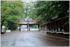 백양산(바람고개-공룡발자국-정상-만남의 숲) : 2025. 08. 11. - 부산.경남지회 - SC제일은행 동우회 SC제일은행 동우회