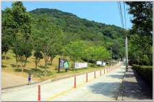 황령산레포츠공원-행경산-황령산-황령산생태숲 : 2025. 8. 2. - 부산.경남지회 - SC제일은행 동우회 SC제일은행 동우회