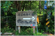 장년산-아홉산-부산치유의 숲 : 2025. 6. 23. - 부산.경남지회 - SC제일은행 동우회 SC제일은행 동우회