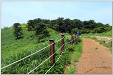 국립 부산 승학산 치유의 숲 - 승학산 : 2025. 6. 27. - 부산.경남지회 - SC제일은행 동우회 SC제일은행 동우회