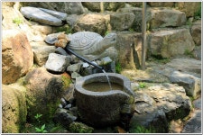 국립 부산 승학산 치유의 숲 - 승학산 : 2025. 6. 27. - 부산.경남지회 - SC제일은행 동우회 SC제일은행 동우회