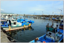 해파랑길 34코스 (묵호역 입구-대진항-망상해변-옥계여성수련원) : 2025. 9. 22. - 부산.경남지회 - SC제일은행 동우회 SC제일은행 동우회