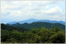 백양산(바람고개-공룡발자국-정상-만남의 숲) : 2025. 08. 11. - 부산.경남지회 - SC제일은행 동우회 SC제일은행 동우회