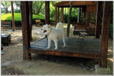 황령산레포츠공원-행경산-황령산-황령산생태숲 : 2025. 8. 2. - 부산.경남지회 - SC제일은행 동우회 SC제일은행 동우회