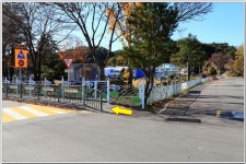 해파랑길 36코스~37코스 일부 (정동진역-괘방산-안인해변-강동초등학교-정감이마을) : 2025. 11. 16. - 부산.경남지회 - SC제일은행 동우회...