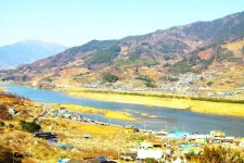 봄봄봄 ㅡ섬진강 꽃길 따라 물길 따라ㅡ미리 가보는＜광양매화축제＞ - 발길따라가는 여행 - 불국사 구품연지회 봄봄봄 ㅡ섬진강 꽃길 따라 물길... 