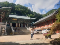 14~15) 14) 정안 마곡사 15)이인 동학사 2025 년 8월 15일 다녀왔어요 - 태풍 1호 2호님 100대 사찰 방문기 - 천하 제일 마라톤 클럽... 