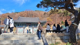 23) 2025년 11월 15일 용문 용문사 다녀왔어요 - 태풍 1호 2호님... 제일 마라톤 클럽 (천마클) 23) 2025년 11월 15일 용문 용문사 다녀왔어요