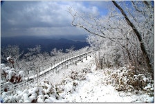 179차 창원 동행산악회 2월5일 화순 모후산 정기산행일정 - 산행안내 및 신청방☏ - 창원동행산악회 179차 창원 동행산악회 2월5일 화순... 