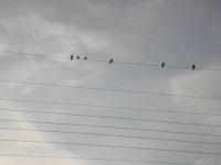 [하모니카ㅡ靑春과 추억] - 14기 알림방 - 동대부고 14회 동창회 [하모니카ㅡ靑春과 추억]