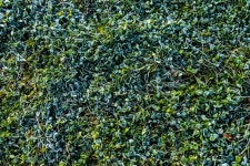 제3-2, 4자락 : 과거로의 여행 길 - ♣ 소백산자락길(完了) - 고천(敲天)의 우리 들뫼 제3-2, 4자락 : 과거로의 여행 길