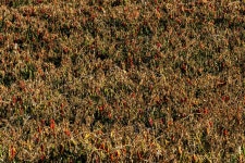 제3-2, 4자락 : 과거로의 여행 길 - ♣ 소백산자락길(完了) - 고천(敲天)의 우리 들뫼 제3-2, 4자락 : 과거로의 여행 길