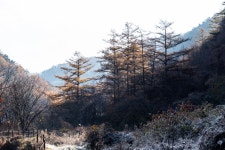 제3-2, 4자락 : 과거로의 여행 길 - ♣ 소백산자락길(完了) - 고천(敲天)의 우리 들뫼 제3-2, 4자락 : 과거로의 여행 길
