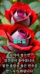 ♡6월29일 월요일 카톡인사! - • ―··· 카톡인사 - 가수 조은성 공식 팬카페 ♡6월29일 월요일 카톡인사!
