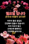 ♡4월13일 월요일 카톡인사! - • ―··· 카톡인사 - 가수 조은성 공식 팬카페 ♡4월13일 월요일 카톡인사!