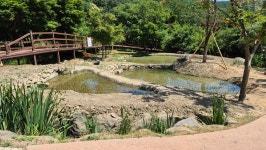 명상호흡하기 좋은 곳...대전 치유의 숲 - 통합 게시판 - 국선도 대전 태평(유천)수련원 명상호흡하기 좋은 곳...대전 치유의 숲