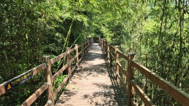 명상호흡하기 좋은 곳...대전 치유의 숲 - 통합 게시판 - 국선도 대전 태평(유천)수련원 명상호흡하기 좋은 곳...대전 치유의 숲