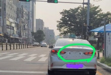 눈동자 - 자유게시판 - 청풍김씨(淸風金氏) 눈동자
