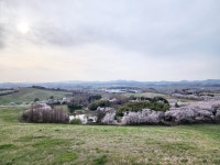 Re: 제283차 정기산행 후 삼화목장 - ======= 정 기 산 행 - 태안반도산악회 Re: 제283차 정기산행 후 삼화목장