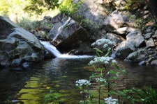 궁방재 공양왕의 유배길 따라 - 삼척명품길 江山海 - (사) 삼척숲속여행 궁방재 공양왕의 유배길 따라