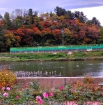 오랍드리 산소길 사계四季 - 삼척명품길 江山海 - (사) 삼척숲속여행 오랍드리 산소길 사계四季