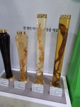 장뇌삼이야기 - ····▶박남준약초방 - 토지 임야 주택 지번공개하는 봉화부동산중개법인 태양광연구소 장뇌삼이야기