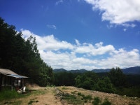 봉화토지,과수원부지, 봉화군 재산면 현동리 126-5전,당25,000원급매... 봉화토지,과수원부지, 봉화군 재산면 현동리 126-5전,당25,000원급매