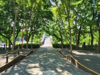 서울둘레길 15 코스 (26.05.22) - ◈-∞-서울둘레길사진 - 청산은 나를보고... 서울둘레길 15 코스 (26.05.22)